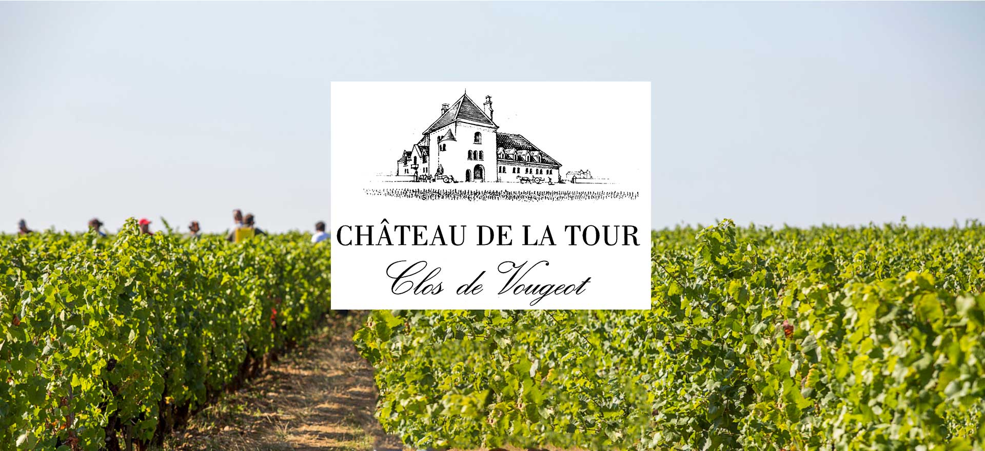 Decanter Vinhos - Château de La Tour