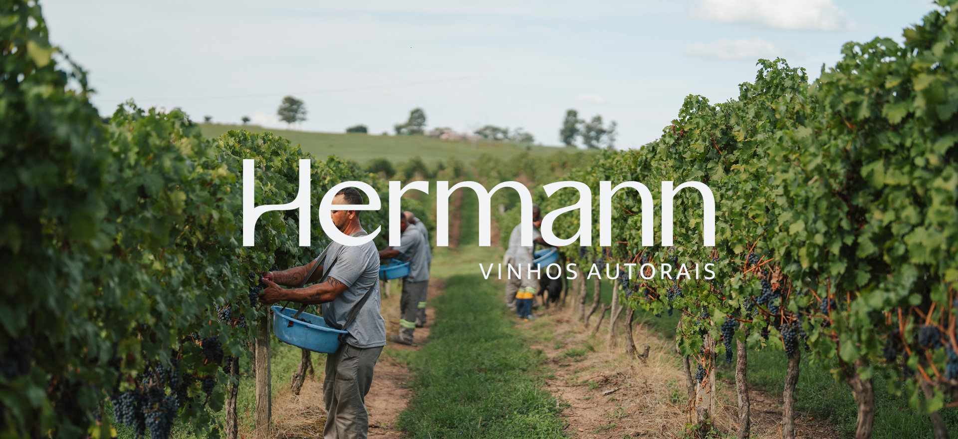 Vinícola Hermann