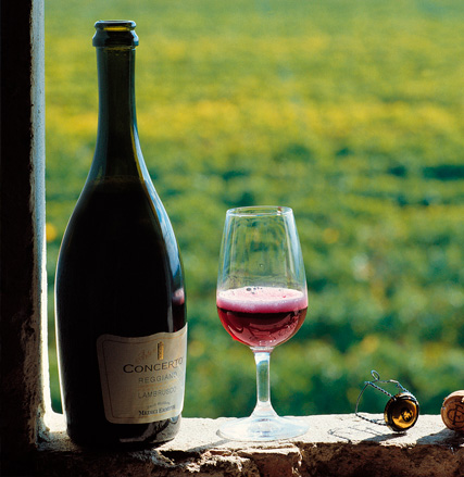 Decanter Vinhos - Medici Ermete