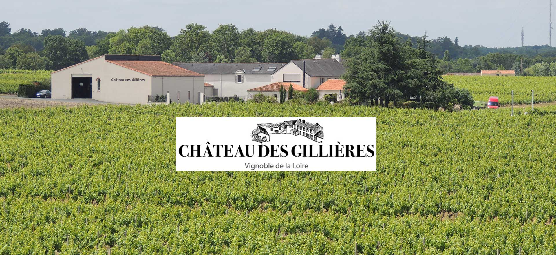 メ*1様 Château de Lignères Vieille Réserve Château des Gillières Muscadet Sèvre-et-Maine Vieilles Vignes